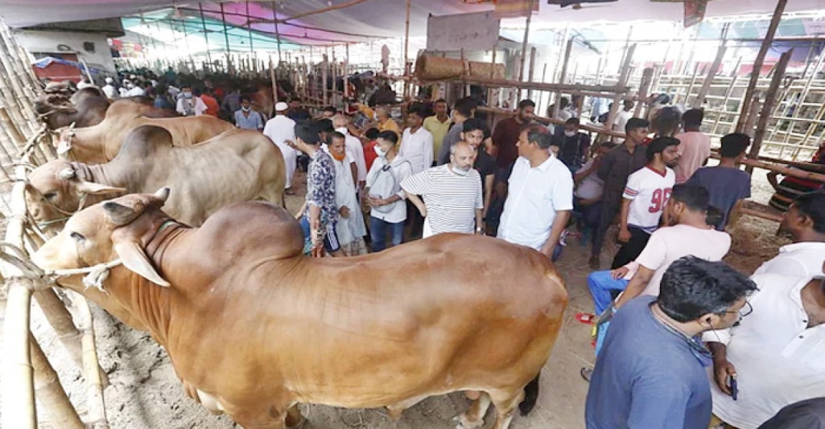 এবার রাজধানীর যেসব স্থানে বসছে পশুর হাট