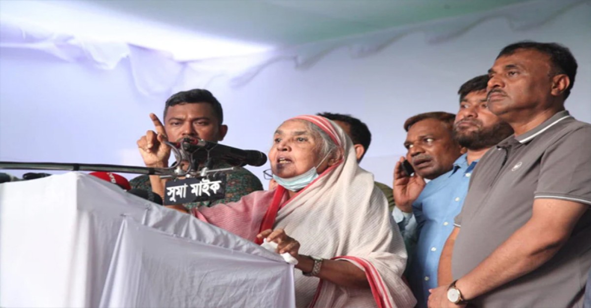 নির্বাচনে এসে নিজেদের ভাগ্য পরীক্ষা করুন: মতিয়া চৌধুরী