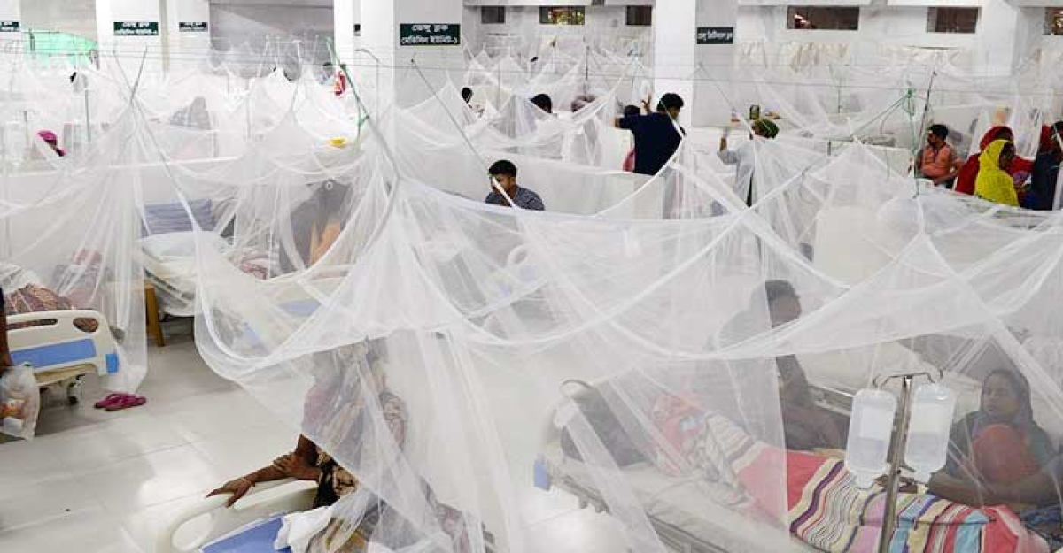 রাজধানীর যেসব এলাকায় ডেঙ্গু রোগী বেশি ভর্তি